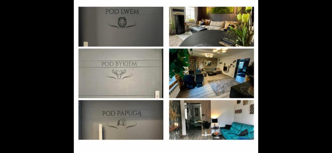 Апартаменты Pod Lwem Косцежина Экстерьер фото